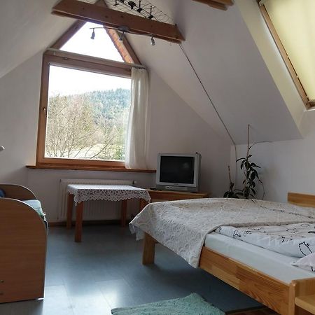 Apartamencik Z Widokiem Na Giewont 자코파네 외부 사진