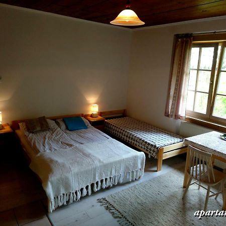 Apartamencik Z Widokiem Na Giewont 자코파네 외부 사진