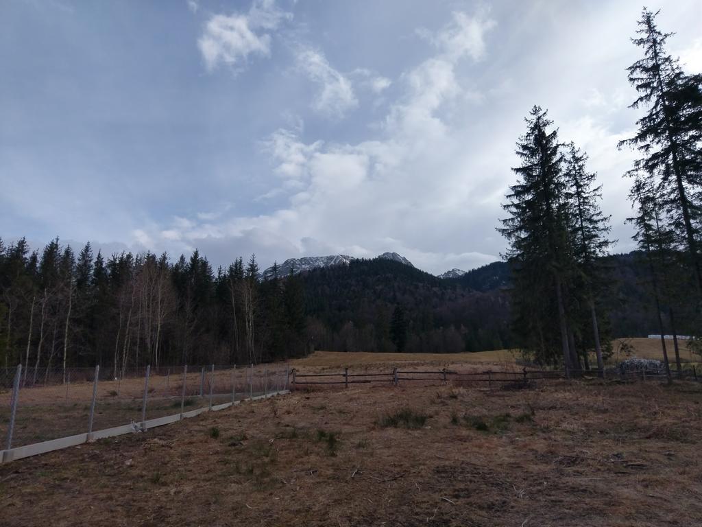 Apartamencik Z Widokiem Na Giewont 자코파네 외부 사진