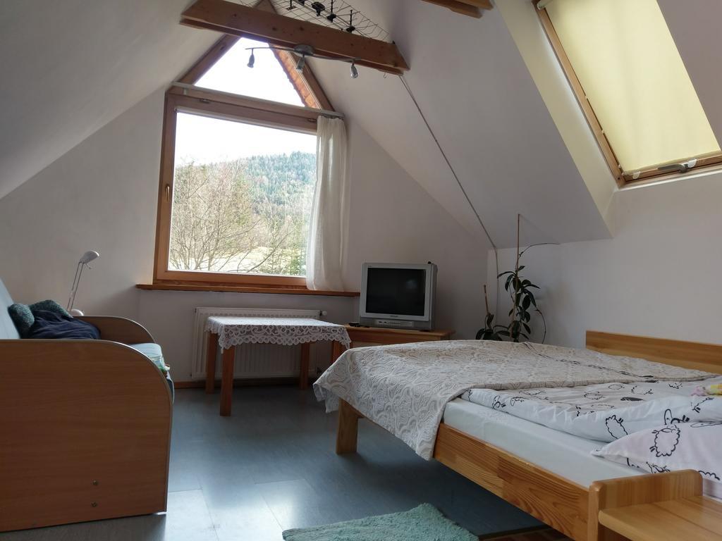 Apartamencik Z Widokiem Na Giewont 자코파네 외부 사진