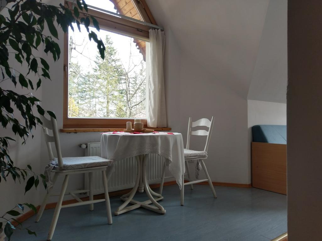 Apartamencik Z Widokiem Na Giewont 자코파네 외부 사진