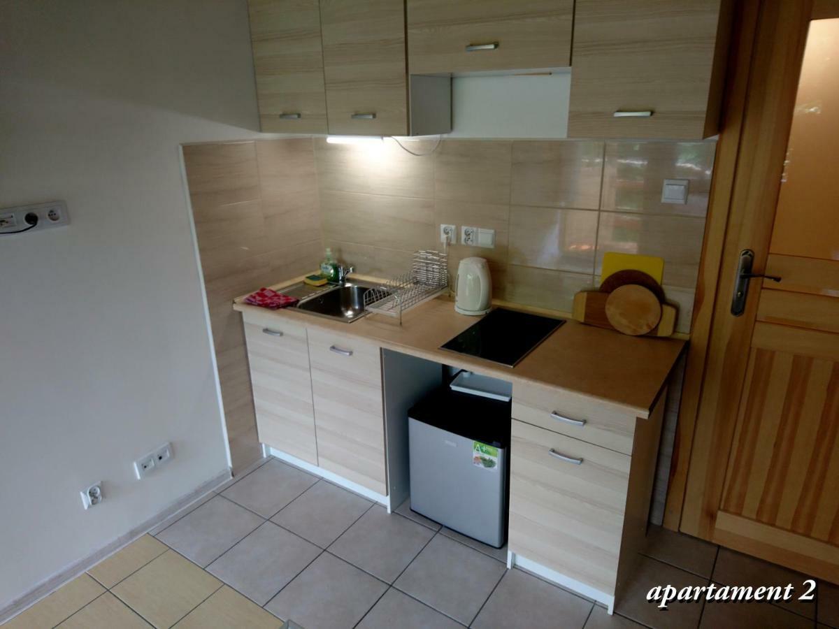 Apartamencik Z Widokiem Na Giewont 자코파네 외부 사진