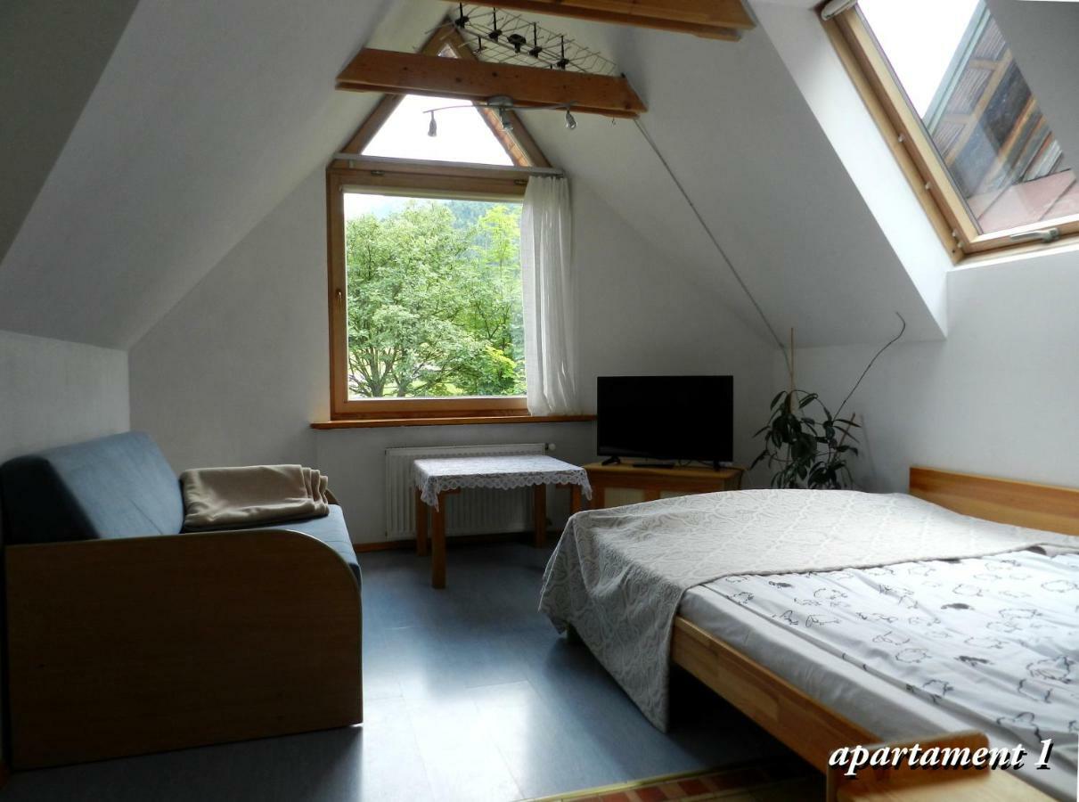 Apartamencik Z Widokiem Na Giewont 자코파네 외부 사진