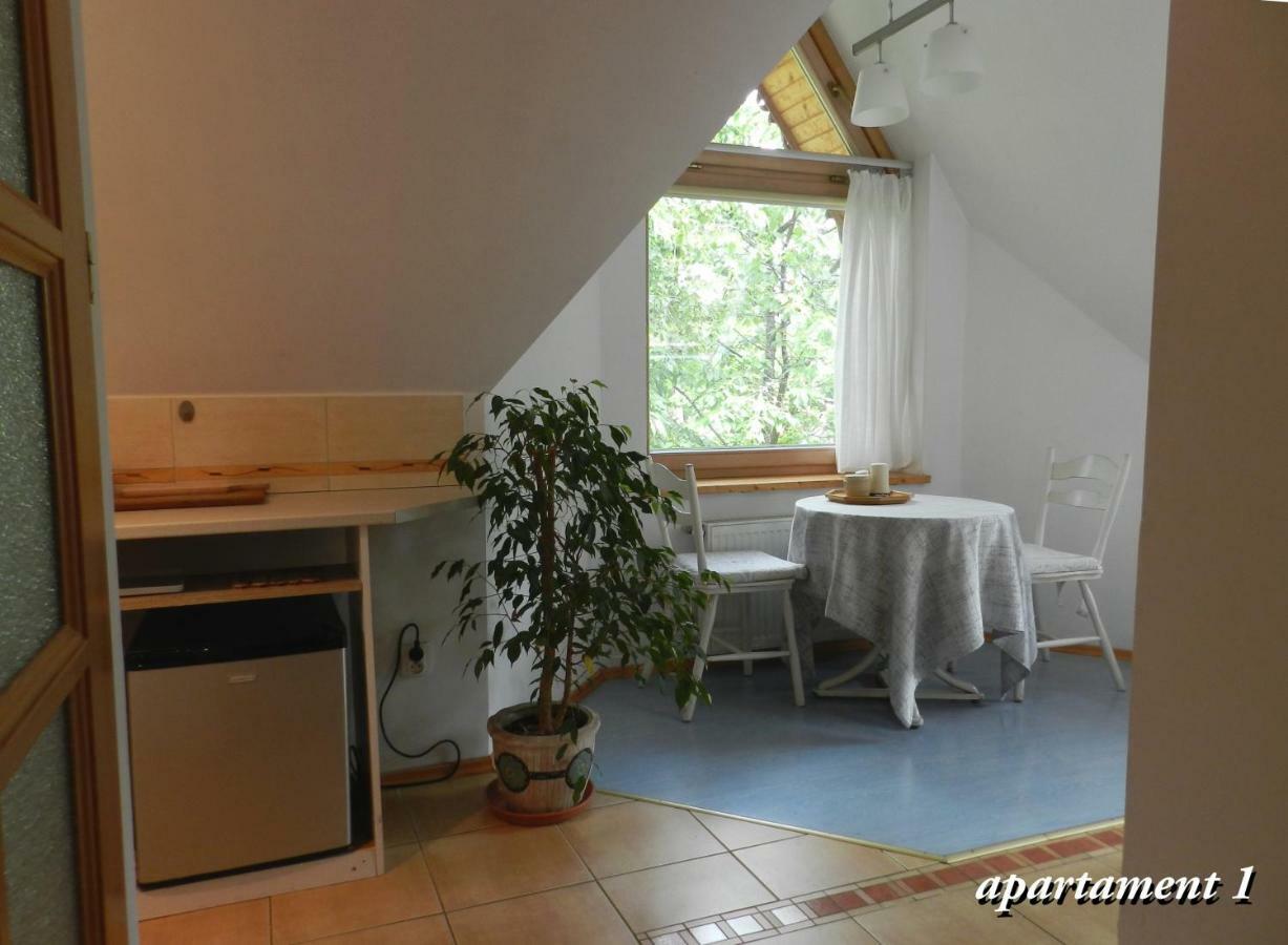 Apartamencik Z Widokiem Na Giewont 자코파네 외부 사진