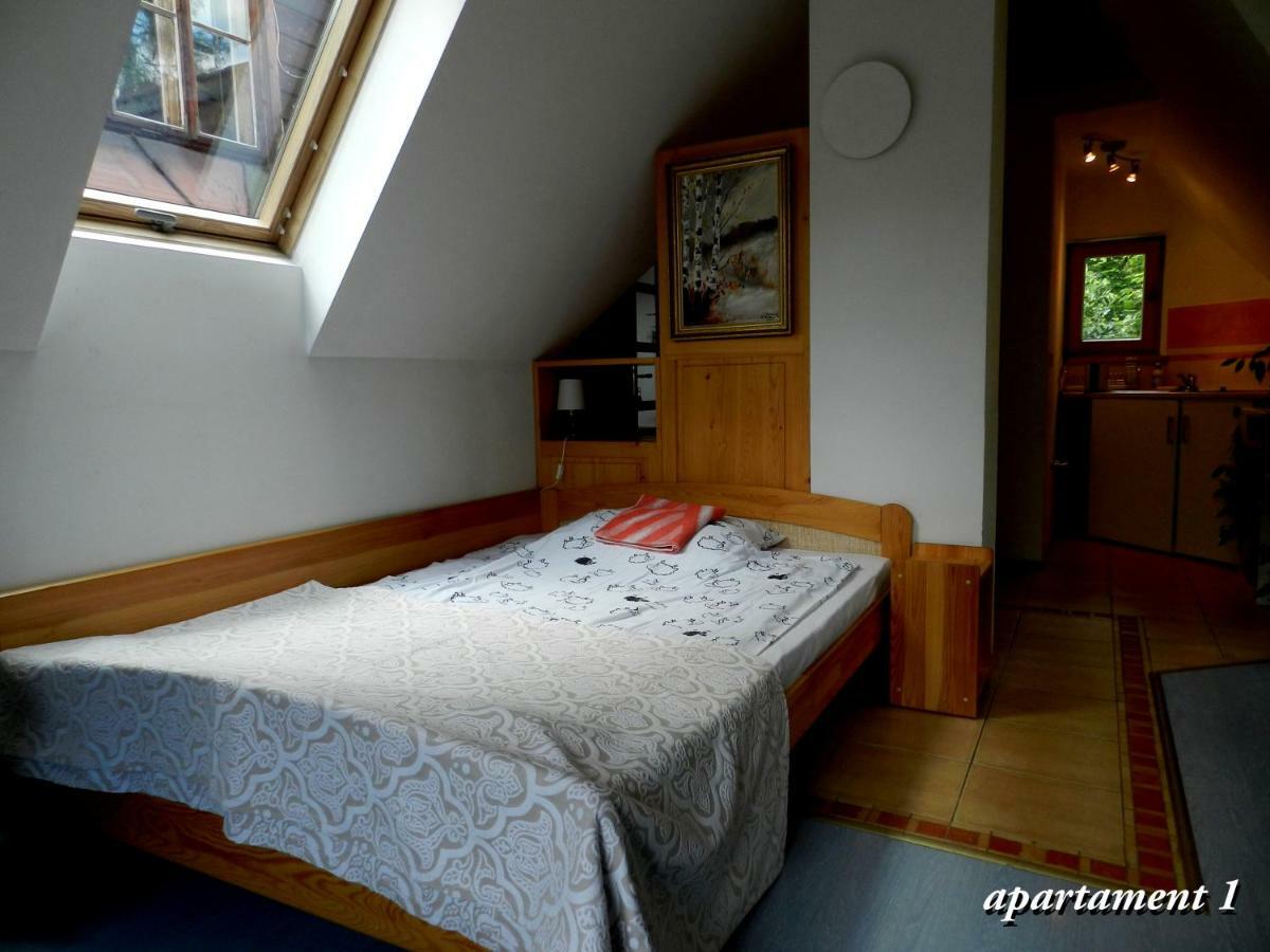 Apartamencik Z Widokiem Na Giewont 자코파네 외부 사진