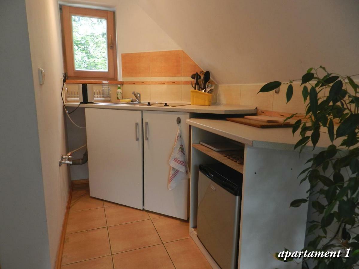 Apartamencik Z Widokiem Na Giewont 자코파네 외부 사진