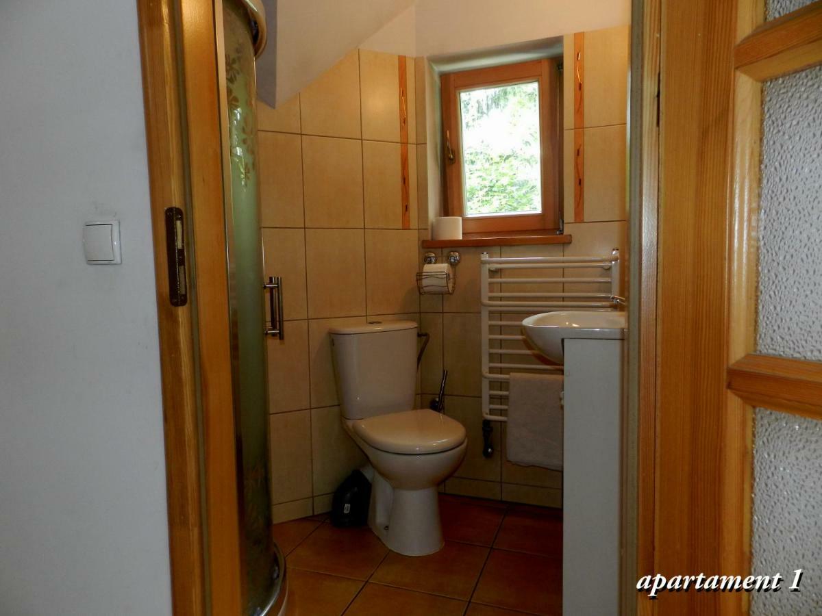 Apartamencik Z Widokiem Na Giewont 자코파네 외부 사진